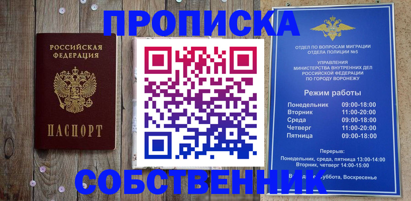 прописка 2025 в Лыткарино
