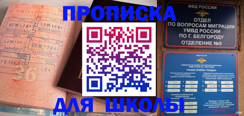 прописка иностранных граждан в Лыткарино